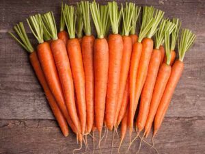 Carrots as healthy diet